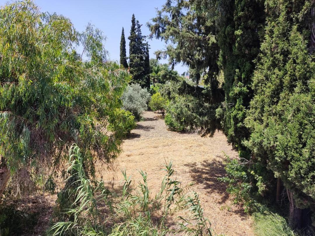 Callas Ιαλυσός Ρόδος